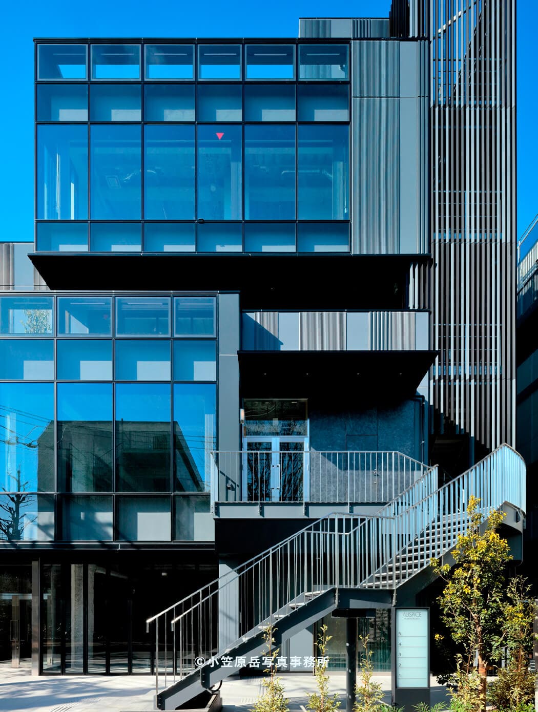 AUSPICE OMOTESANDO