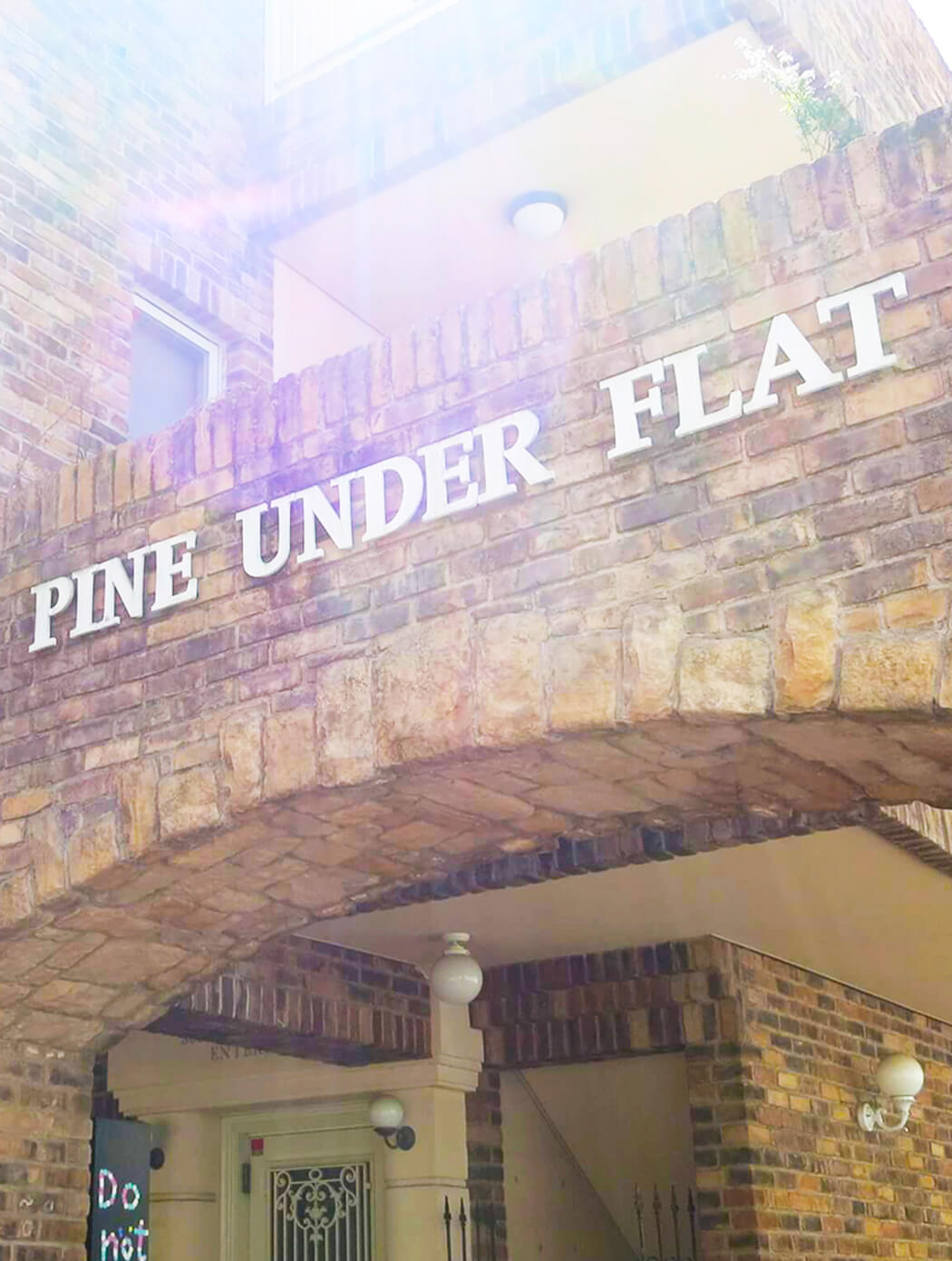PINE UNDER FLAT