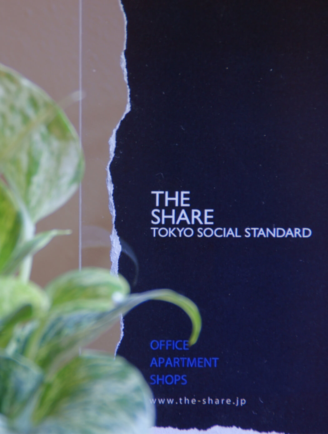 THE SHARE